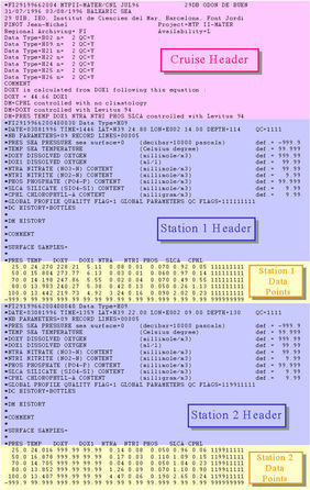 Exemple d'un fichier MEDATLAS de profils verticaux