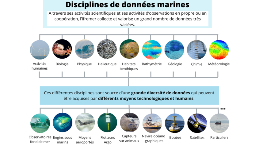 Disciplines et sources de données marines