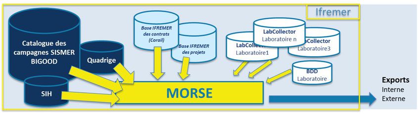 Figure 1 : Principe du SI-MORSE
