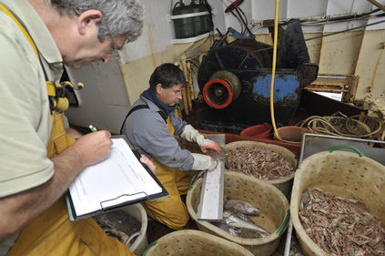 Travail des pêcheurs et des enquêteurs Ifremer